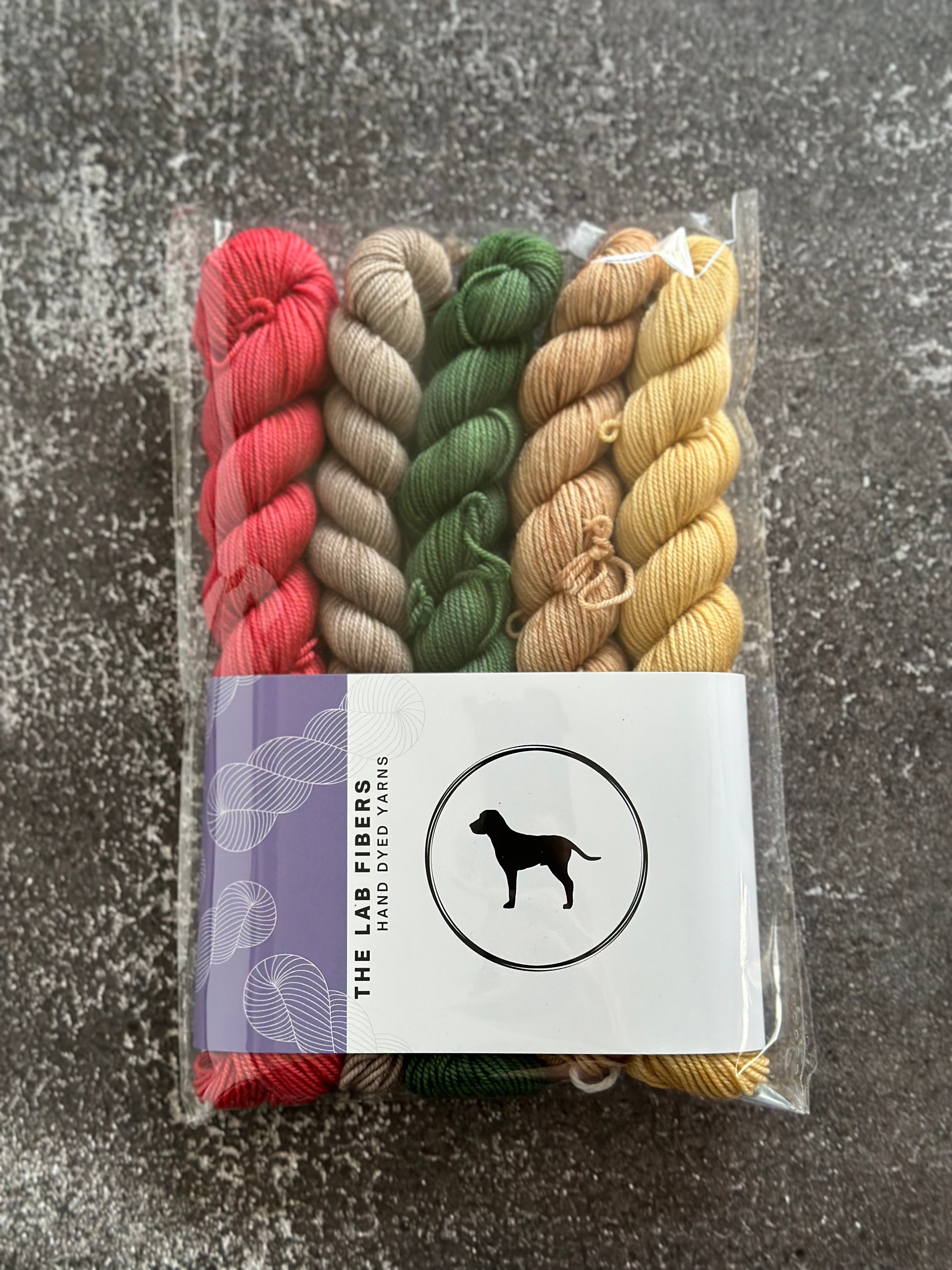 Bundle of 5 20 gram mini skeins - ruby, nut brown hare, moss, champagne toast, flax