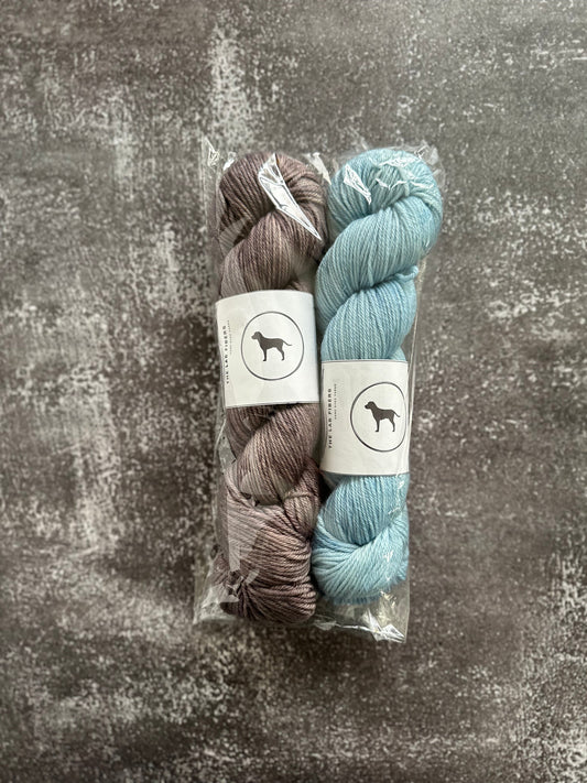 Packs - Everyday Worsted - 2 Skeins, Blue and Purple