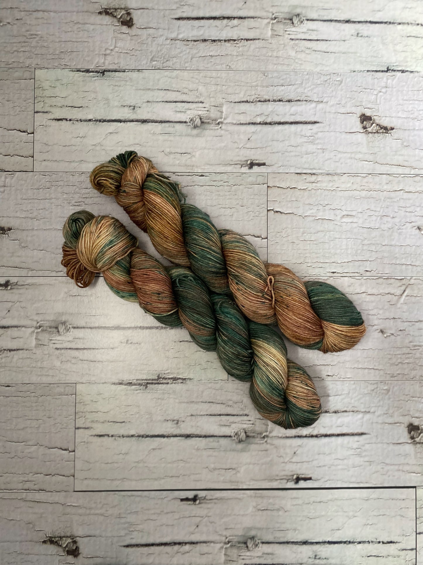 Two skeins of brown and green variegated yarn.