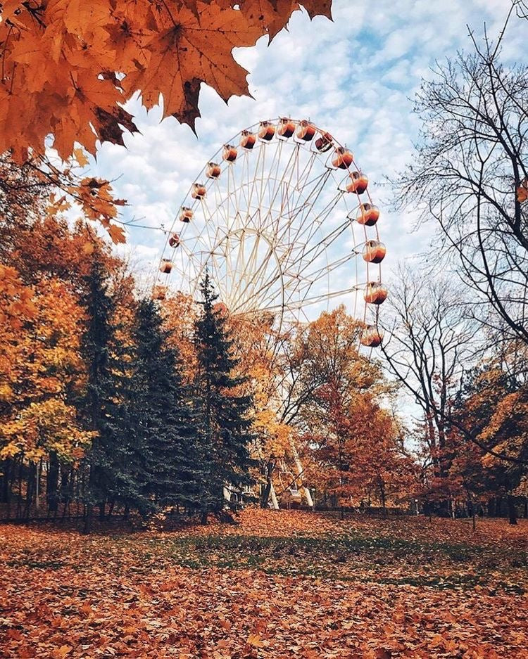 Fallen Leaves