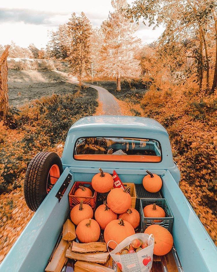 Dyed to Order - Pumpkin Spice
